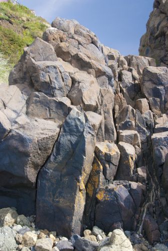 Columnar jointing in basaltic lava, Pettycur
